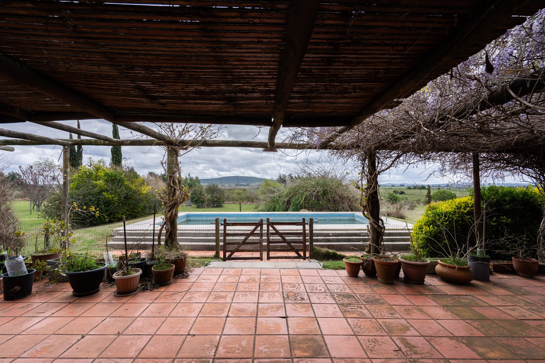  5-hectare farm in Pueblo Edén. - 物件實景