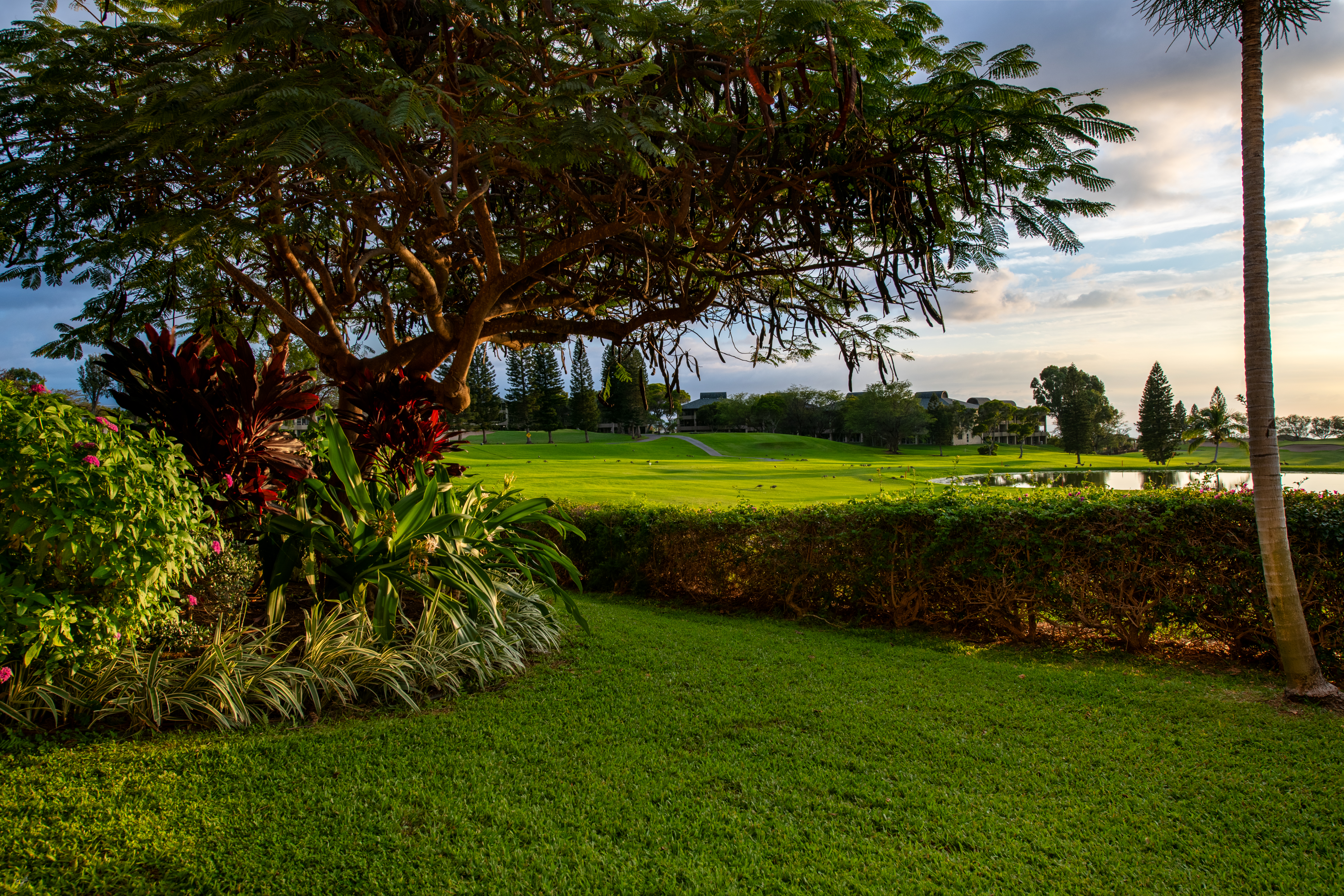  68-1754 Melia Street, Waikoloa Village, HI 96738 - 物件實景