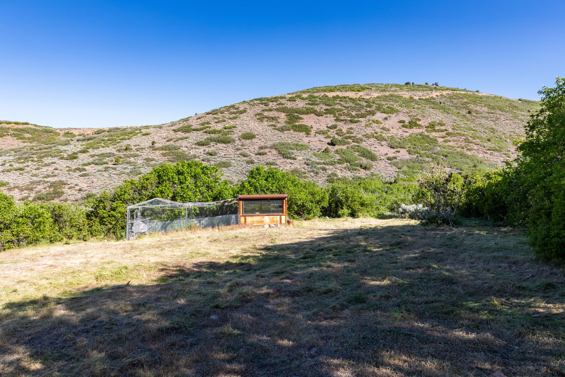  The Ultimate Multi-Generational Mountain Retreat Backing to 500 Acres of Open Sp - 物件實景