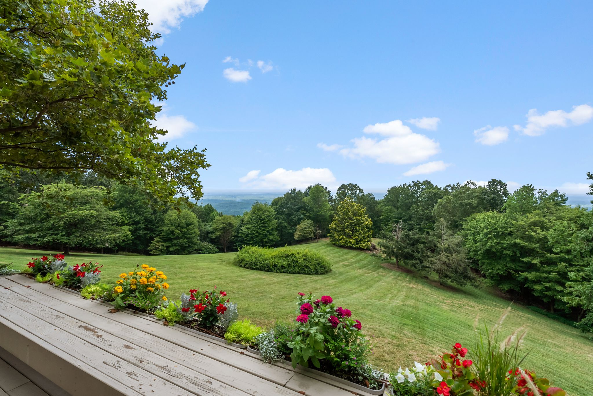  110 Huckleberry Ridge, Greenville, SC 29609 - 物件實景