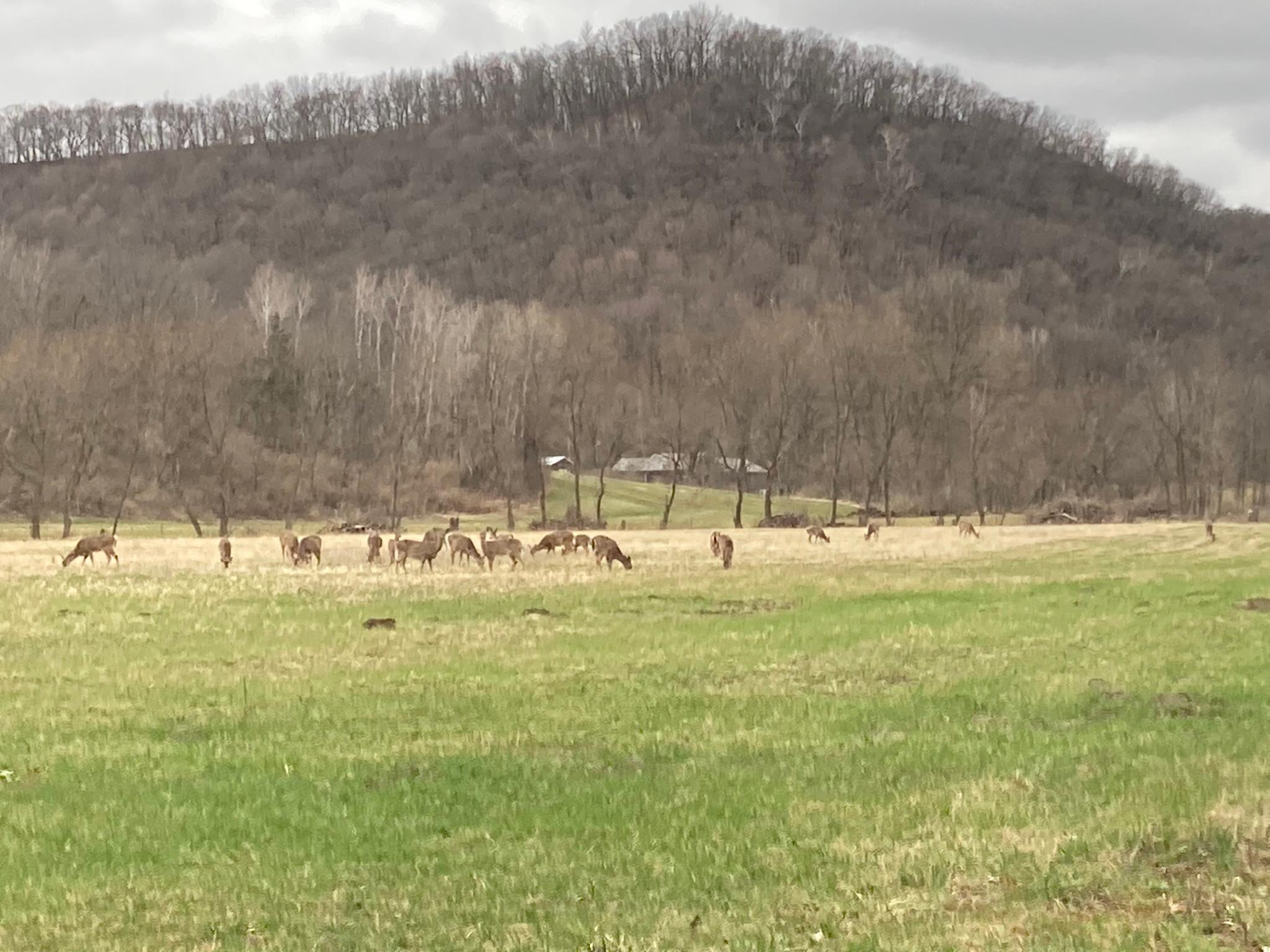 Winona, Minnesota, 55987, United States, 5 Bedrooms Bedrooms, ,2 BathroomsBathrooms,Residential,For Sale,2005788