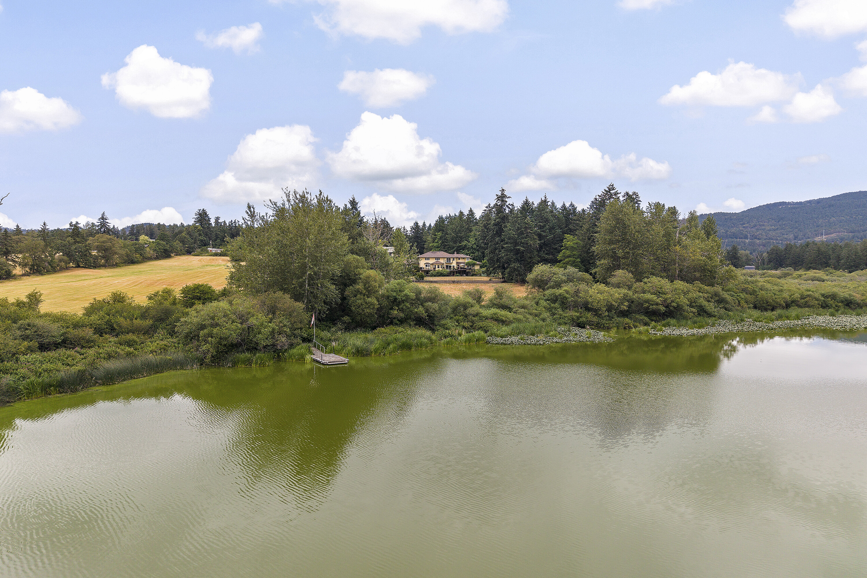  Remarkable Lakefront Estate - 物件實景