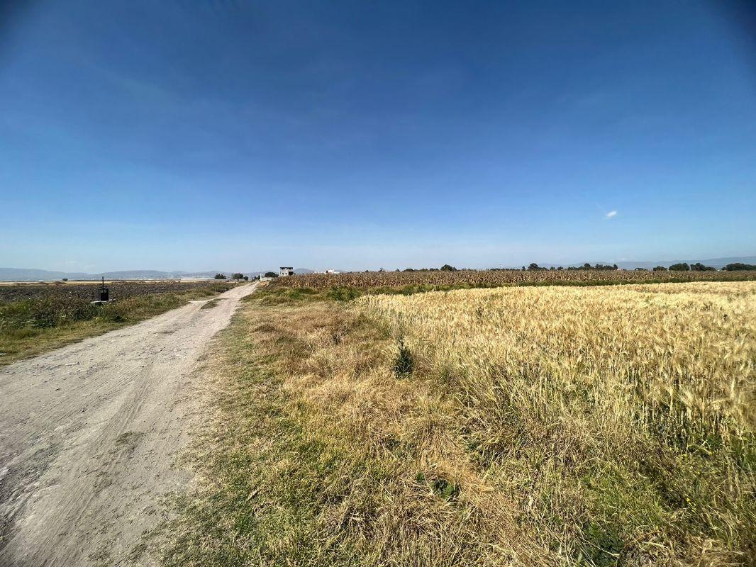 EJIDO PACHUQUILLA, Mineral de la Reforma, Hidalgo, 42180, Mexico, 1 Bedroom Bedrooms, ,Residential,For Sale,EJIDO PACHUQUILLA,1442593