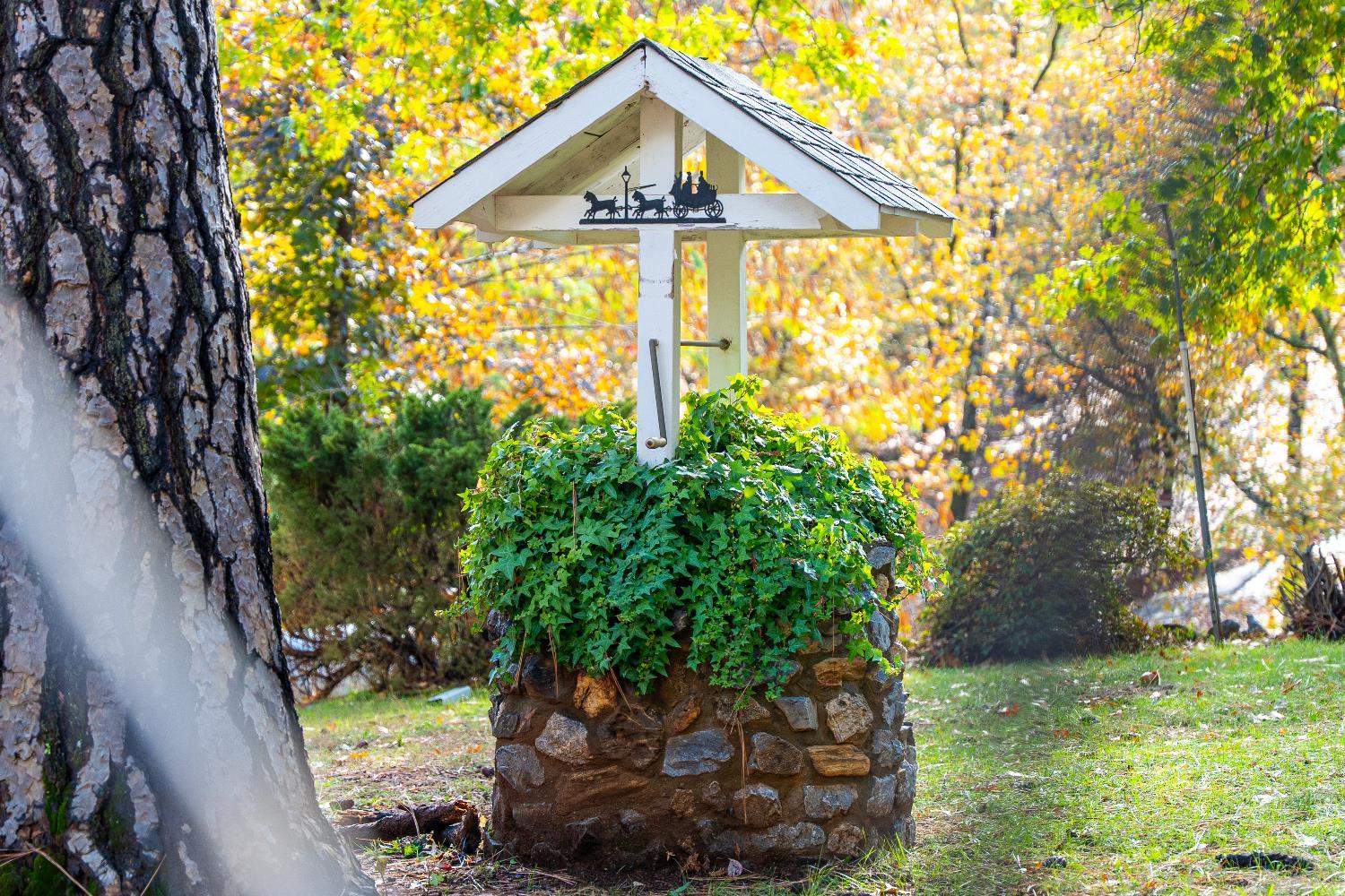 Colfax, California, 95713, United States, 3 Bedrooms Bedrooms, ,2 BathroomsBathrooms,Residential,For Sale,1987014