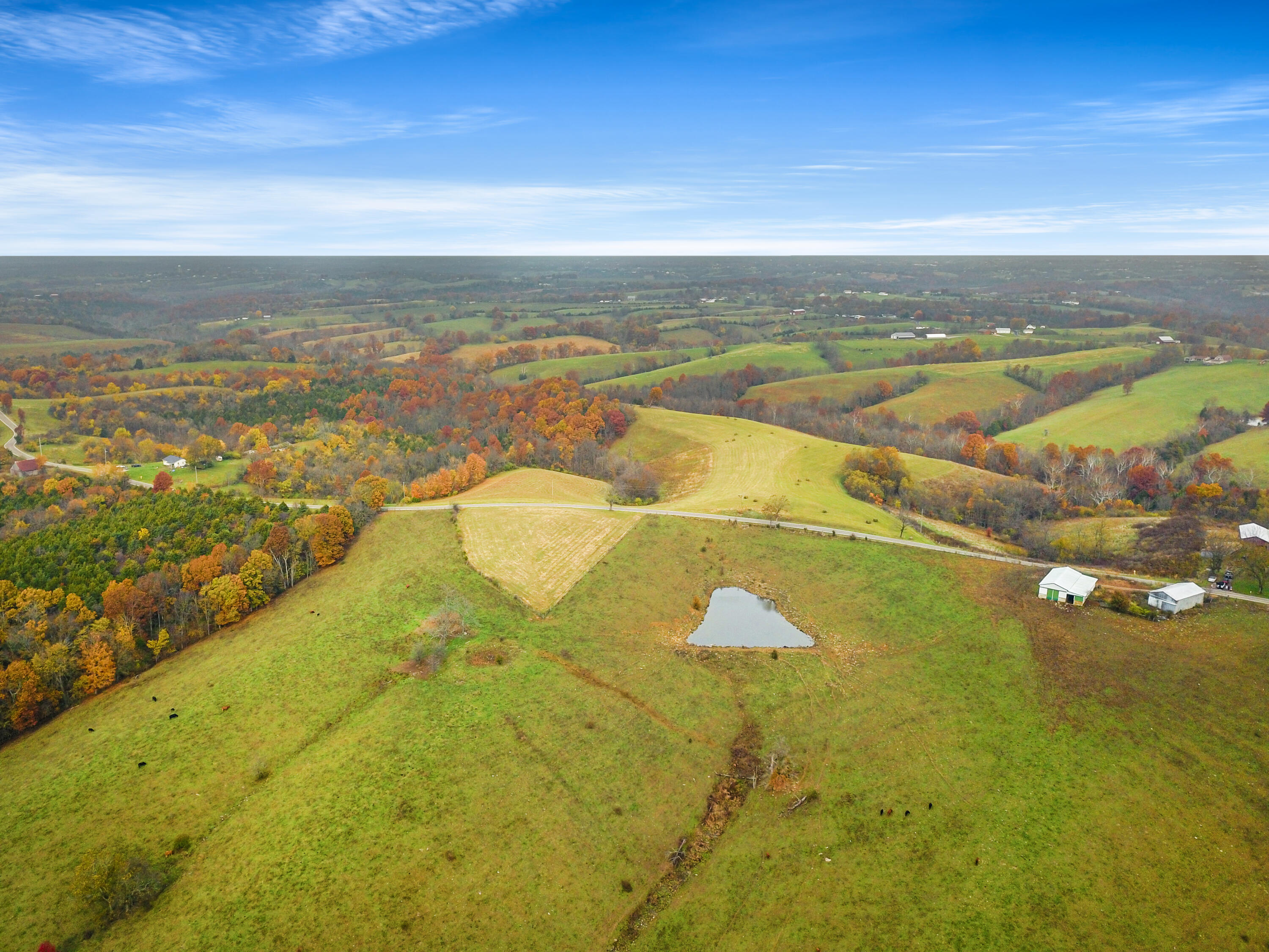 Williamstown, Kentucky, 41097, United States, ,Land,For Sale,1995668