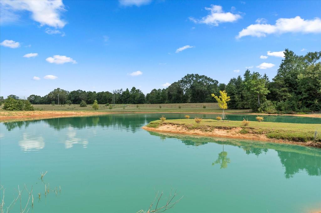 Rusk, Texas, 75785, United States, 1 Bedroom Bedrooms, ,3 BathroomsBathrooms,Residential,For Sale,1918158