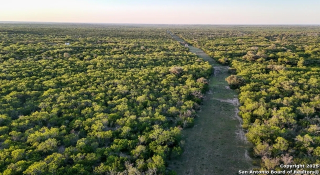 Beeville, Texas, 78102, United States, ,Land,For Sale,1988110