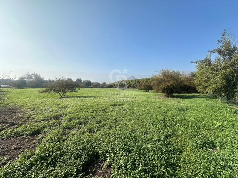 Colina, Chile, ,Land,For Sale,1907153