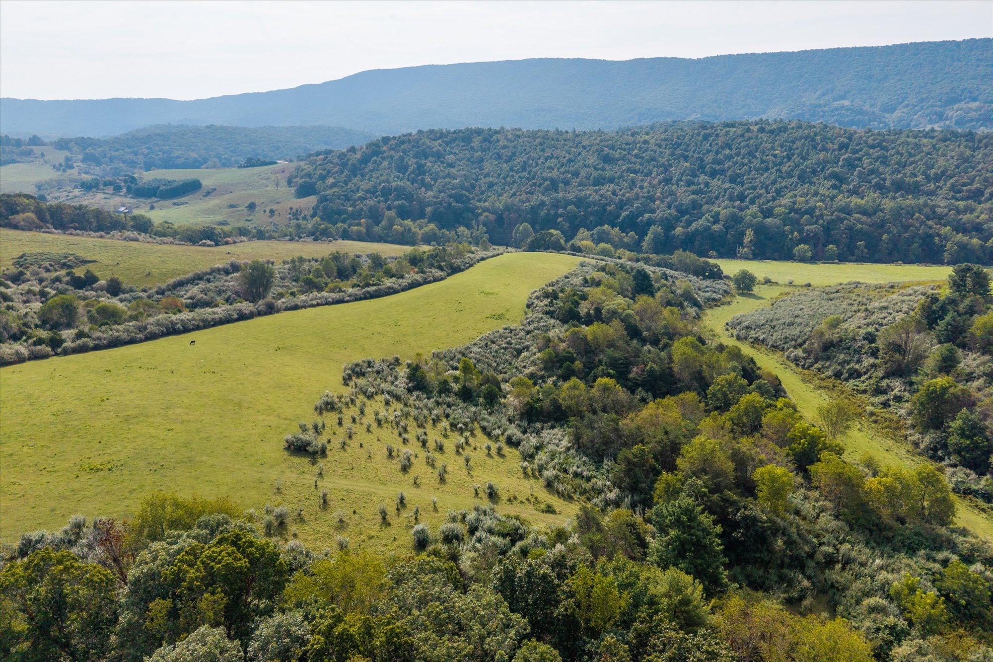  Crystal Springs Farm - 物件實景