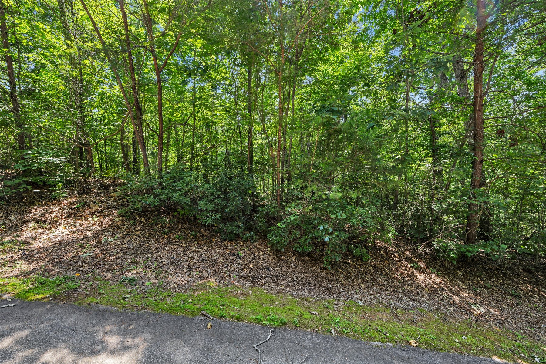  14 Alsace Way, Travelers Rest, SC 29690 - 物件實景