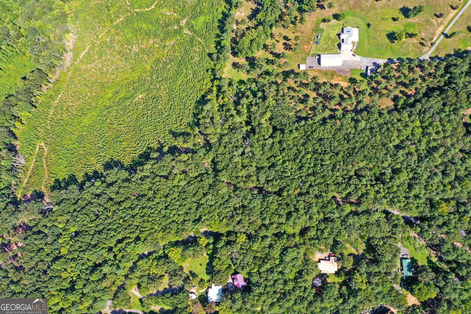 Waleska, Georgia, 30183, United States, ,Land,For Sale,1929808