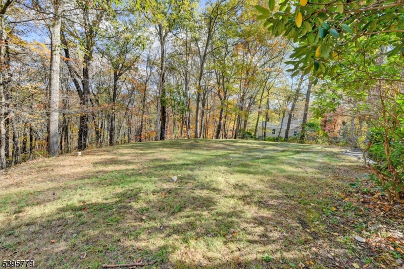 Kinnelon Boro, New Jersey, 07405, United States, 3 Bedrooms Bedrooms, ,3 BathroomsBathrooms,Residential,For Sale,1989629