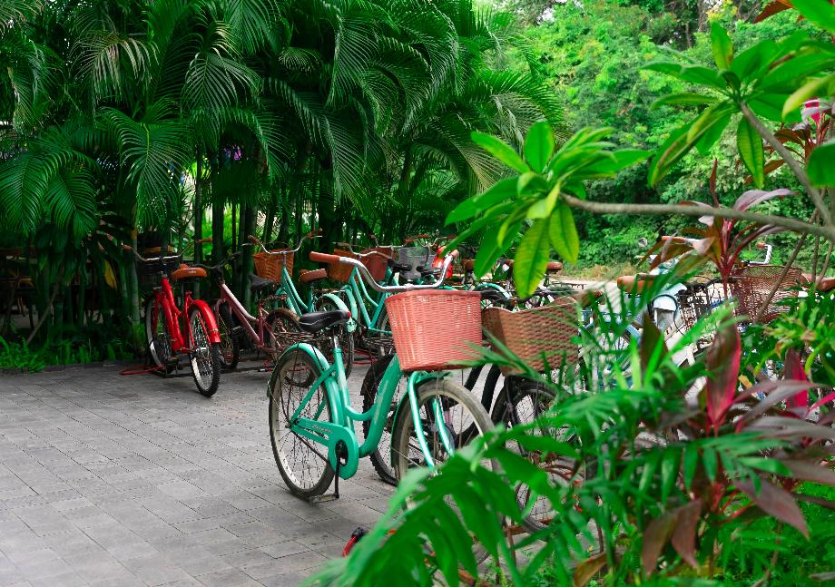 Sin calle, Tulum, Quintana Roo, 77760, Mexico, 2 Bedrooms Bedrooms, ,2 BathroomsBathrooms,Residential,For Sale,Sin calle,1673524