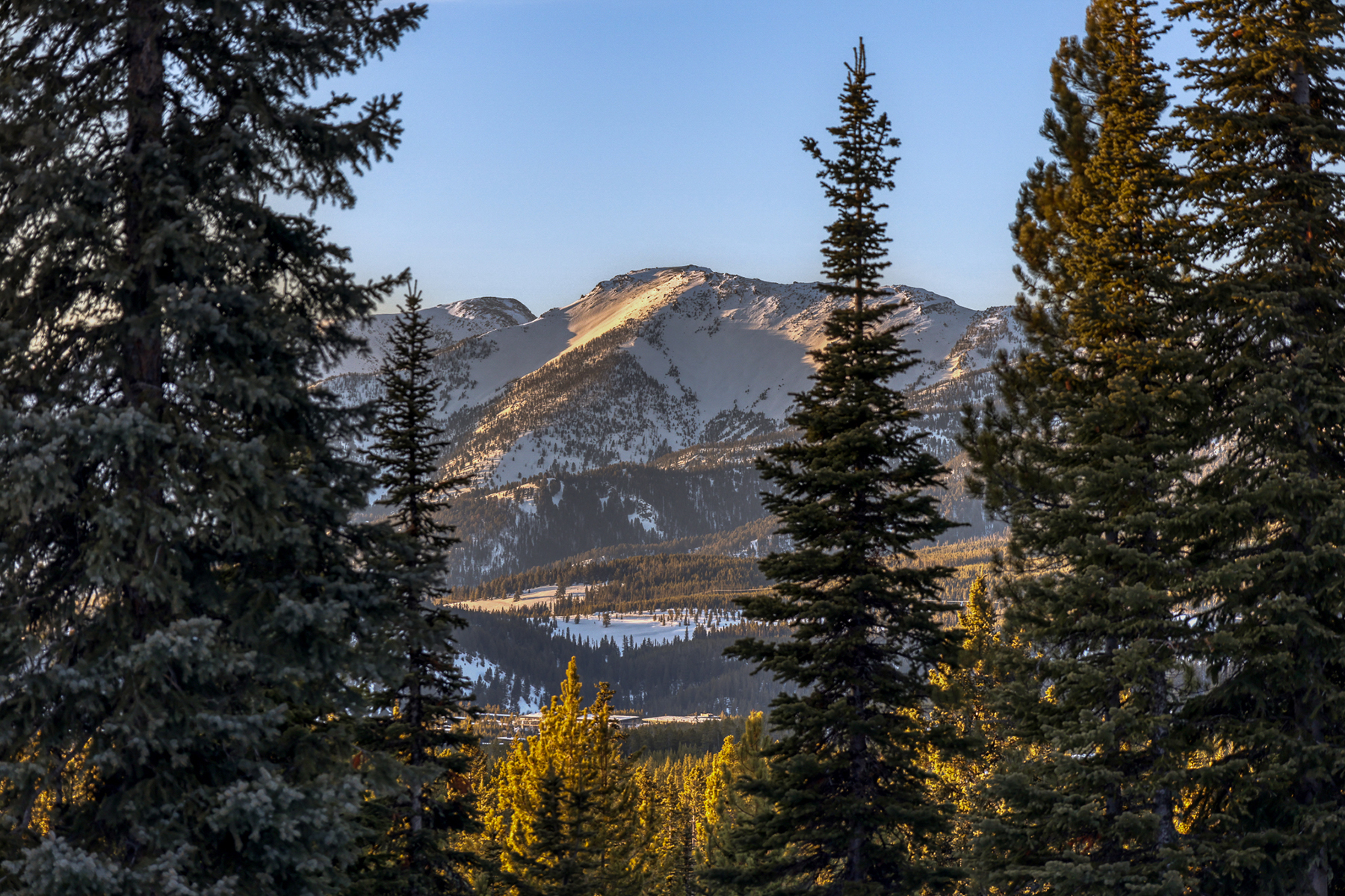  TBD Speaking Eagle, Lot 168A - 物件實景