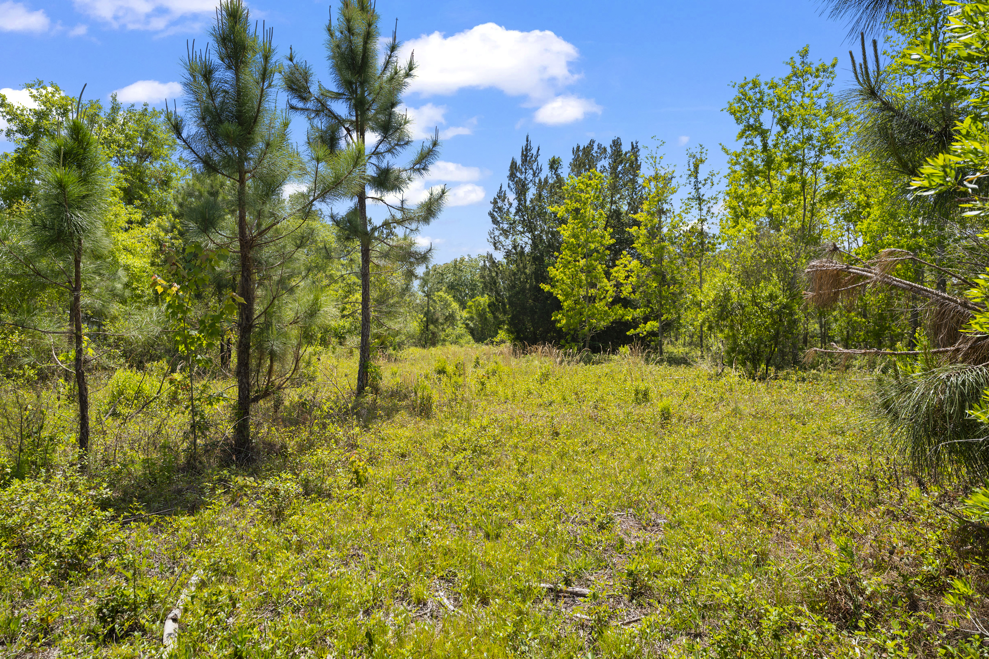  5371 Church Road, St. Augustine, FL, 32092 - 物件實景