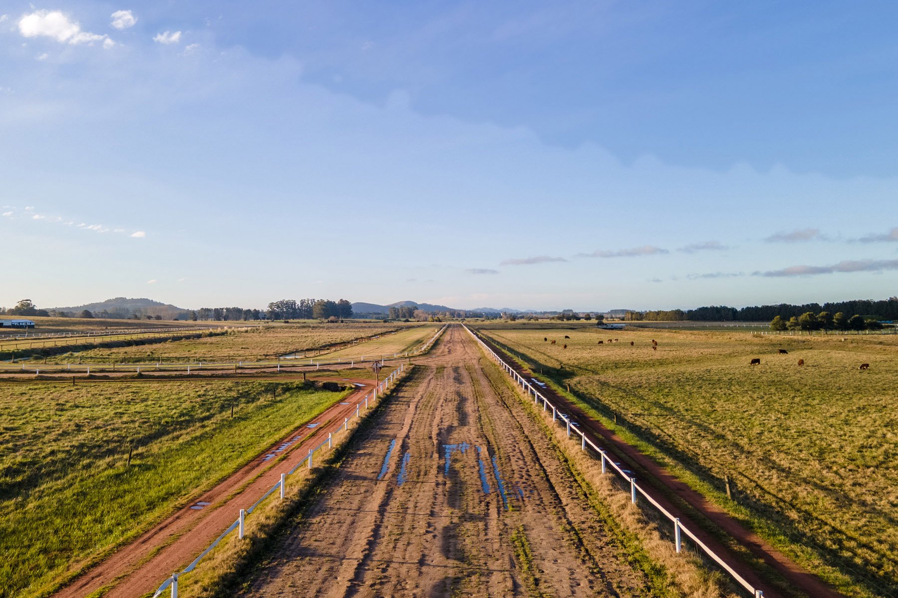 NAHUEL Stud Farm - 物件實景