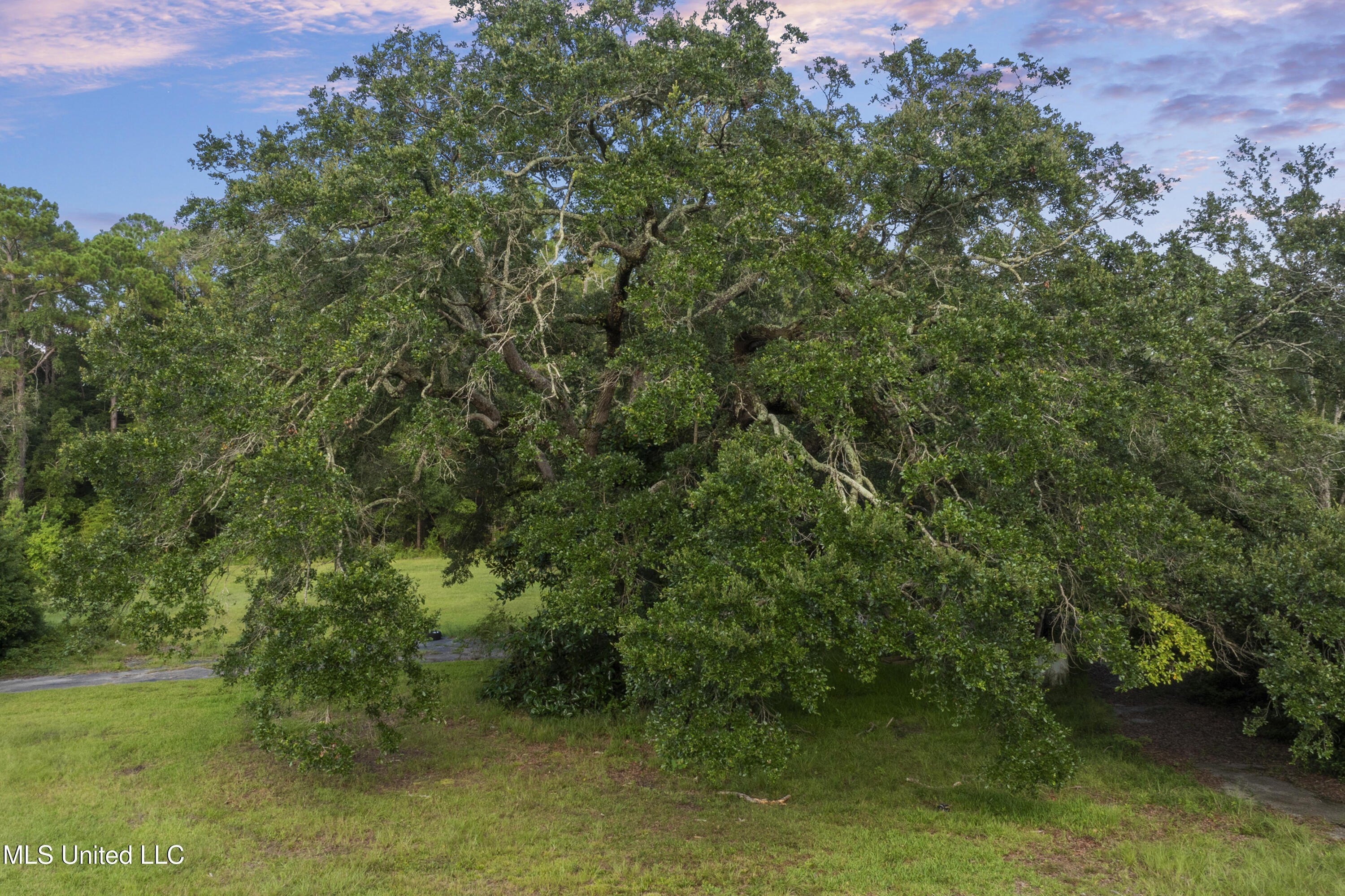 Ocean Springs, Mississippi, 39564, United States, ,Land,For Sale,1978678