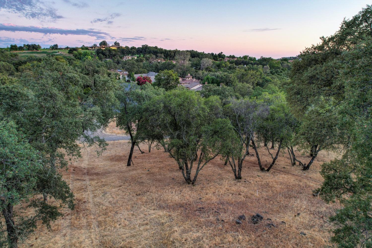 5211 Da Vinci Drive, El Dorado Hills, California, 95762, United States, ,Land,For Sale,5211 Da Vinci Drive,1573000