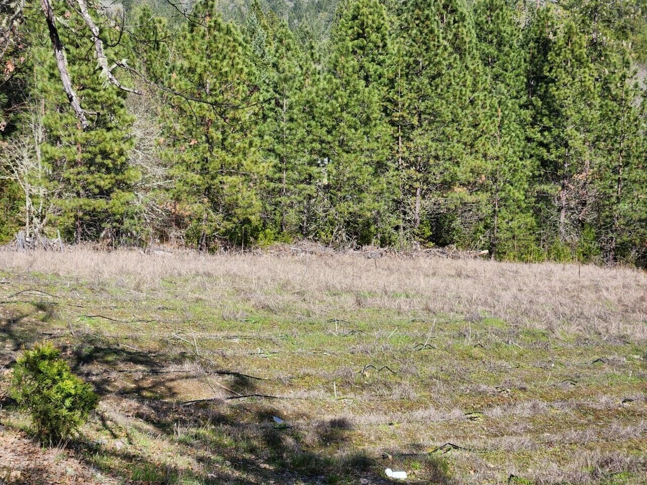 Grants Pass, Oregon, 97526, United States, 3 Bedrooms Bedrooms, ,2 BathroomsBathrooms,Residential,For Sale,1982829