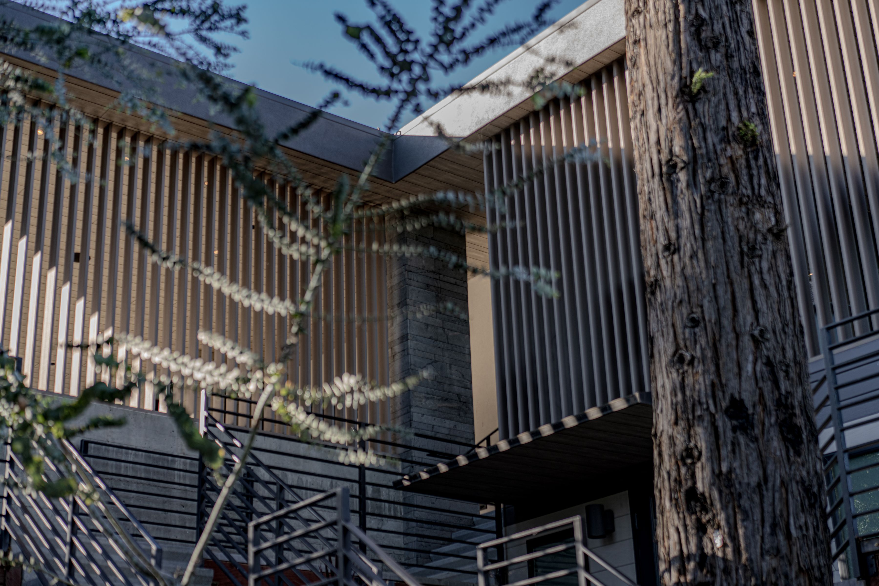  Contemporary Agrarian by EAG Studio - 物件實景