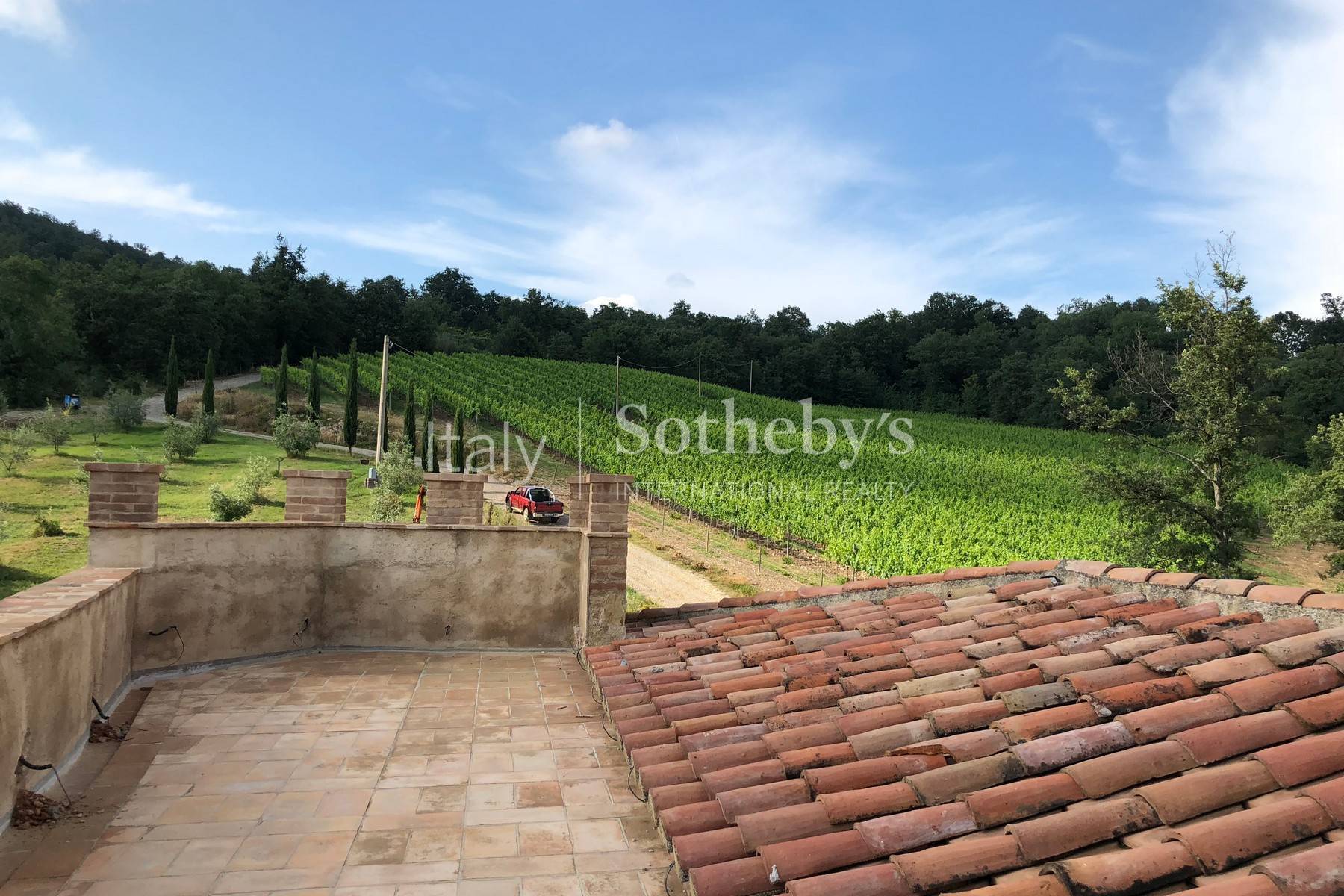  Fascinating property with vineyards and olive groves - 物件實景