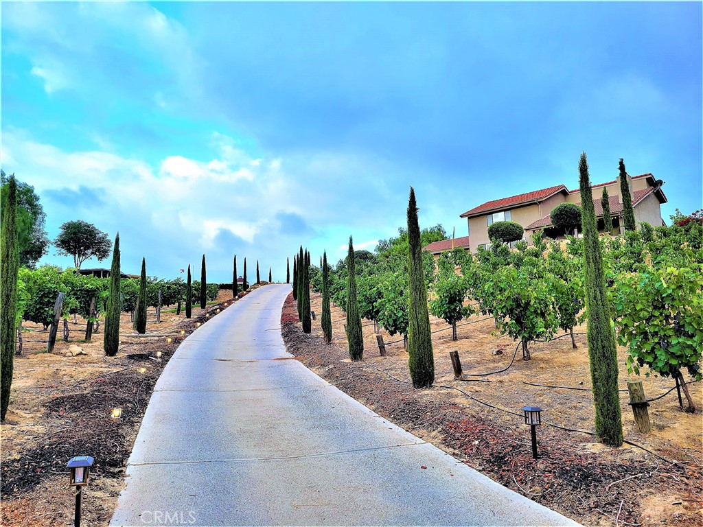 Temecula, California, 92592, United States, 6 Bedrooms Bedrooms, ,4 BathroomsBathrooms,Residential,For Sale,2035753