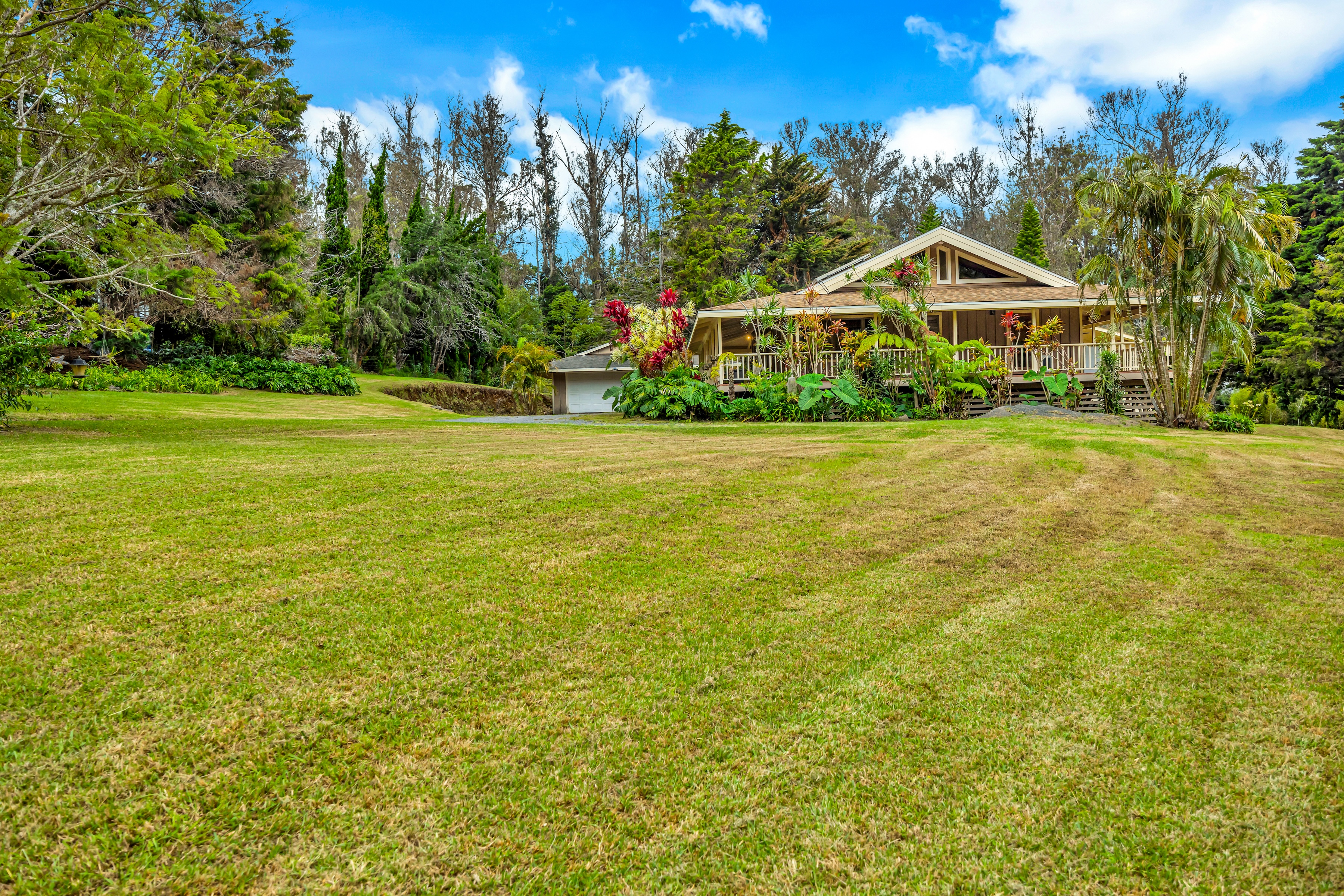  Single-level home on 2.5 fully fenced and gated acres - 物件實景