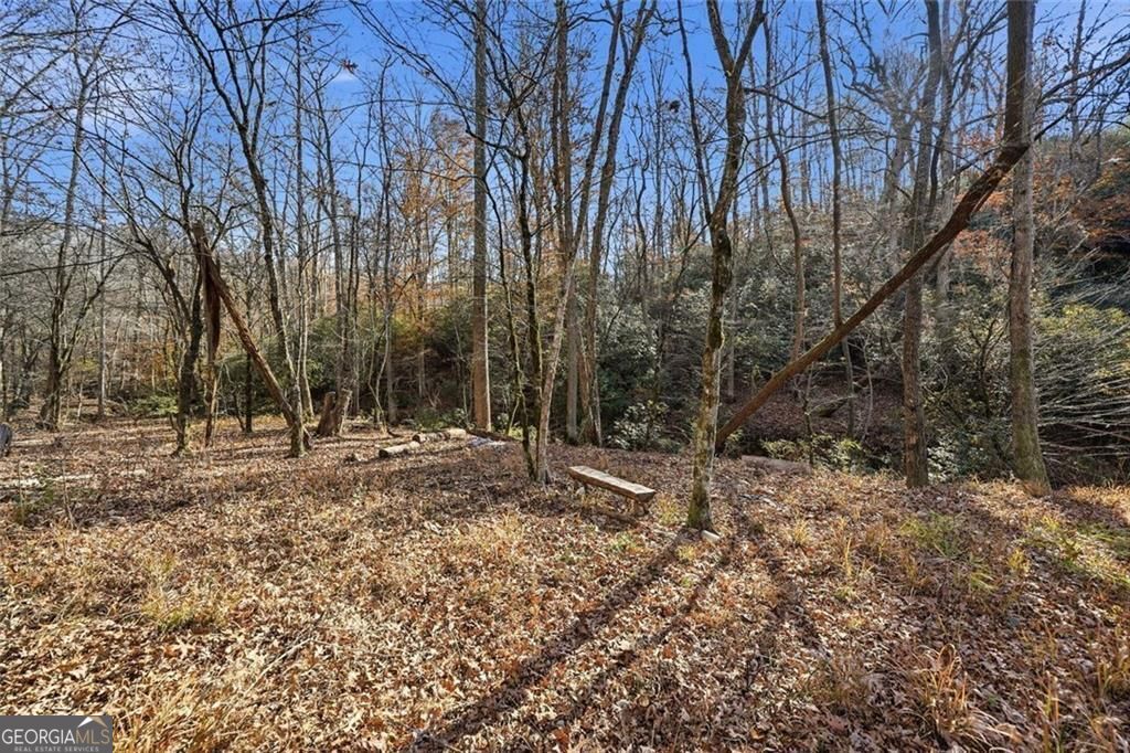 Jasper, Georgia, 30143, United States, ,Land,For Sale,1996551