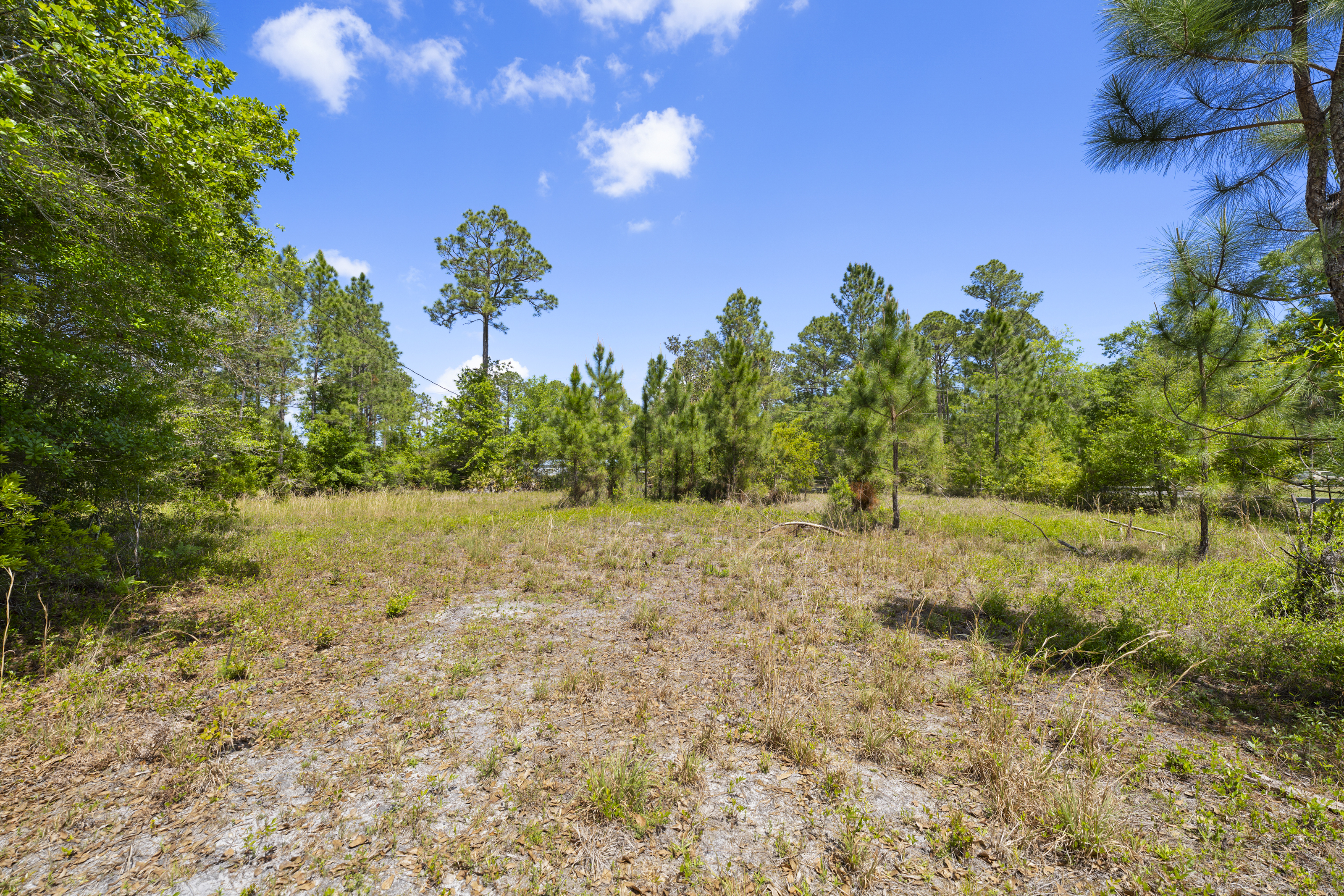  5371 Church Road, St. Augustine, FL, 32092 - 物件實景