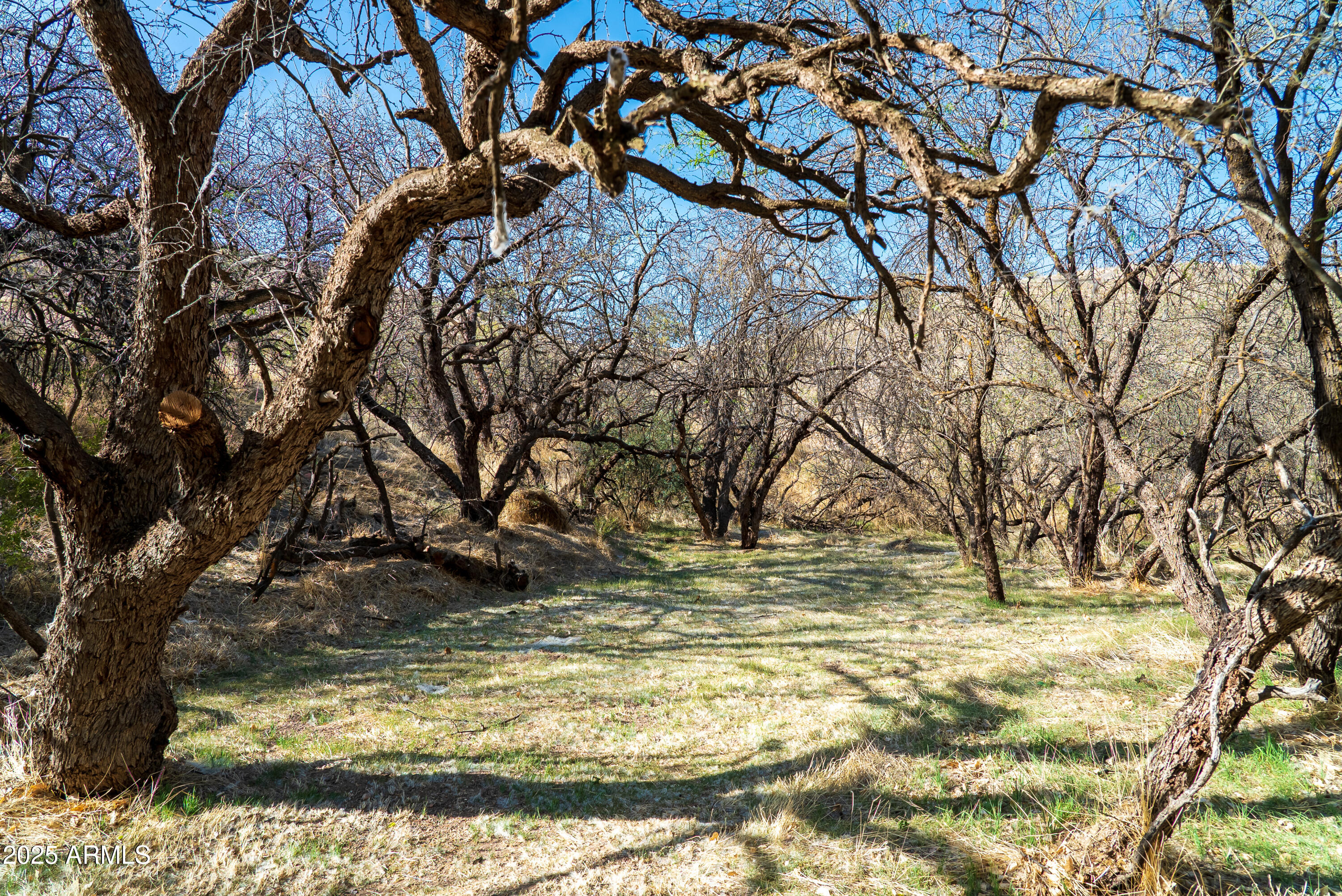 Cornville, Arizona, 86325, United States, ,Land,For Sale,1947959