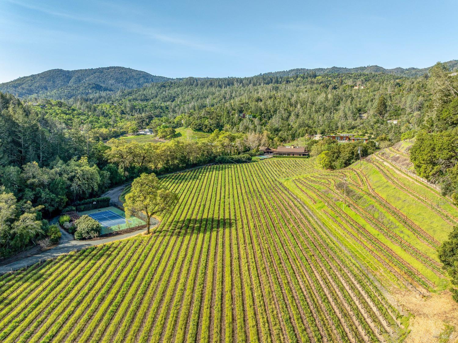 St. Helena, California, 94574, United States, 5 Bedrooms Bedrooms, ,8 BathroomsBathrooms,Residential,For Sale,1761730
