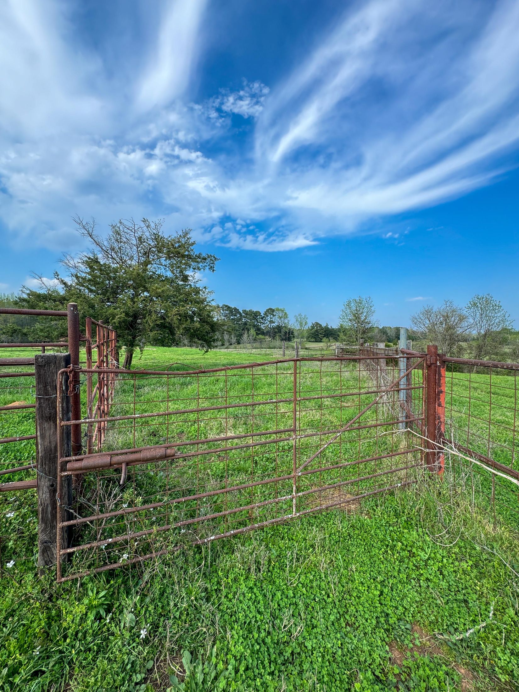 Bivins, Texas, 75555, United States, ,Residential,For Sale,1755933