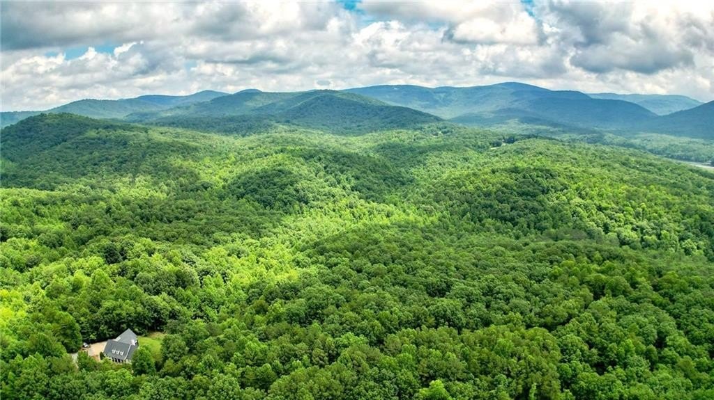 Jasper, Georgia, 30143, United States, ,Land,For Sale,1976881