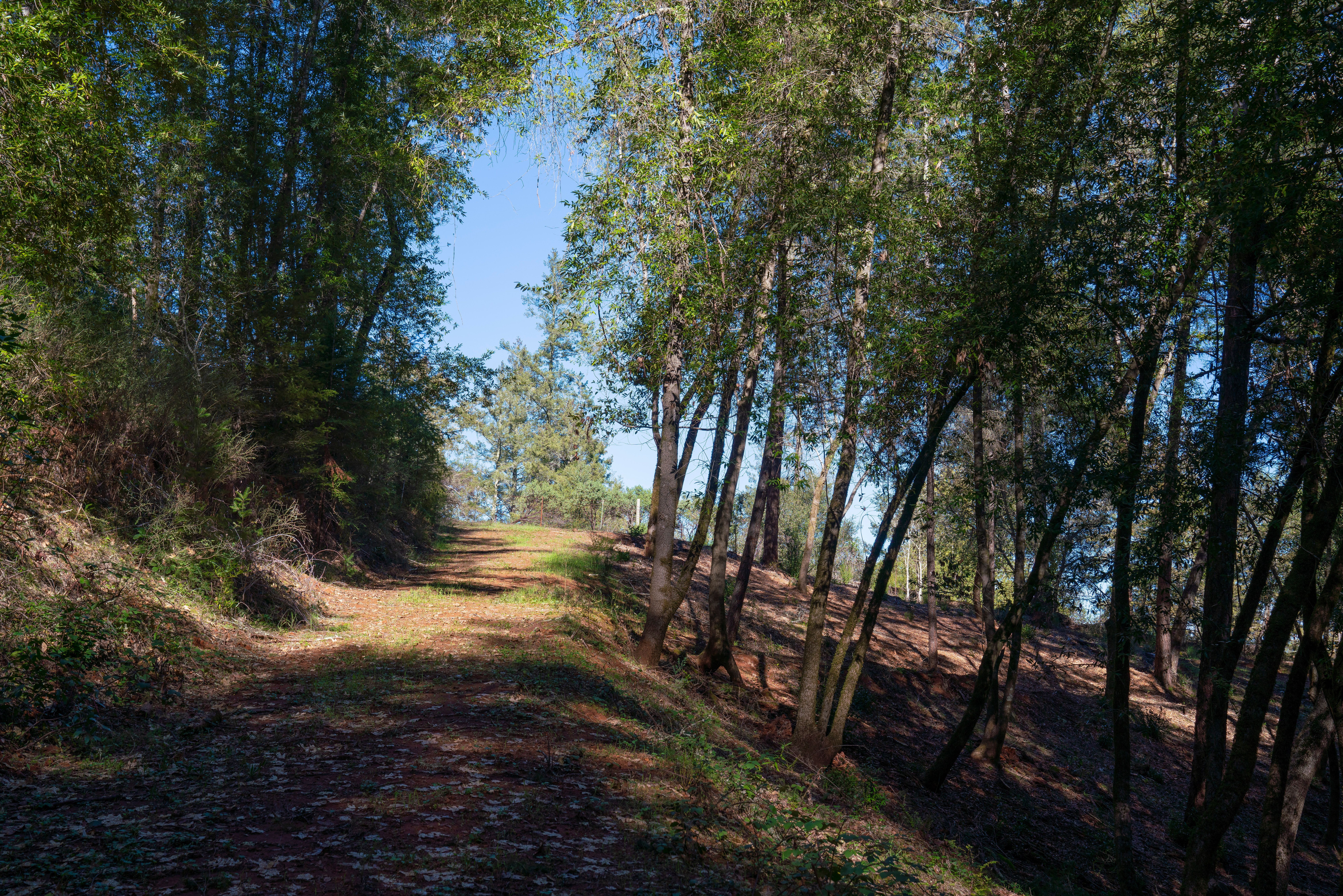 3210 West Dry Creek Road, Healdsburg, CA 95448 - 物件實景