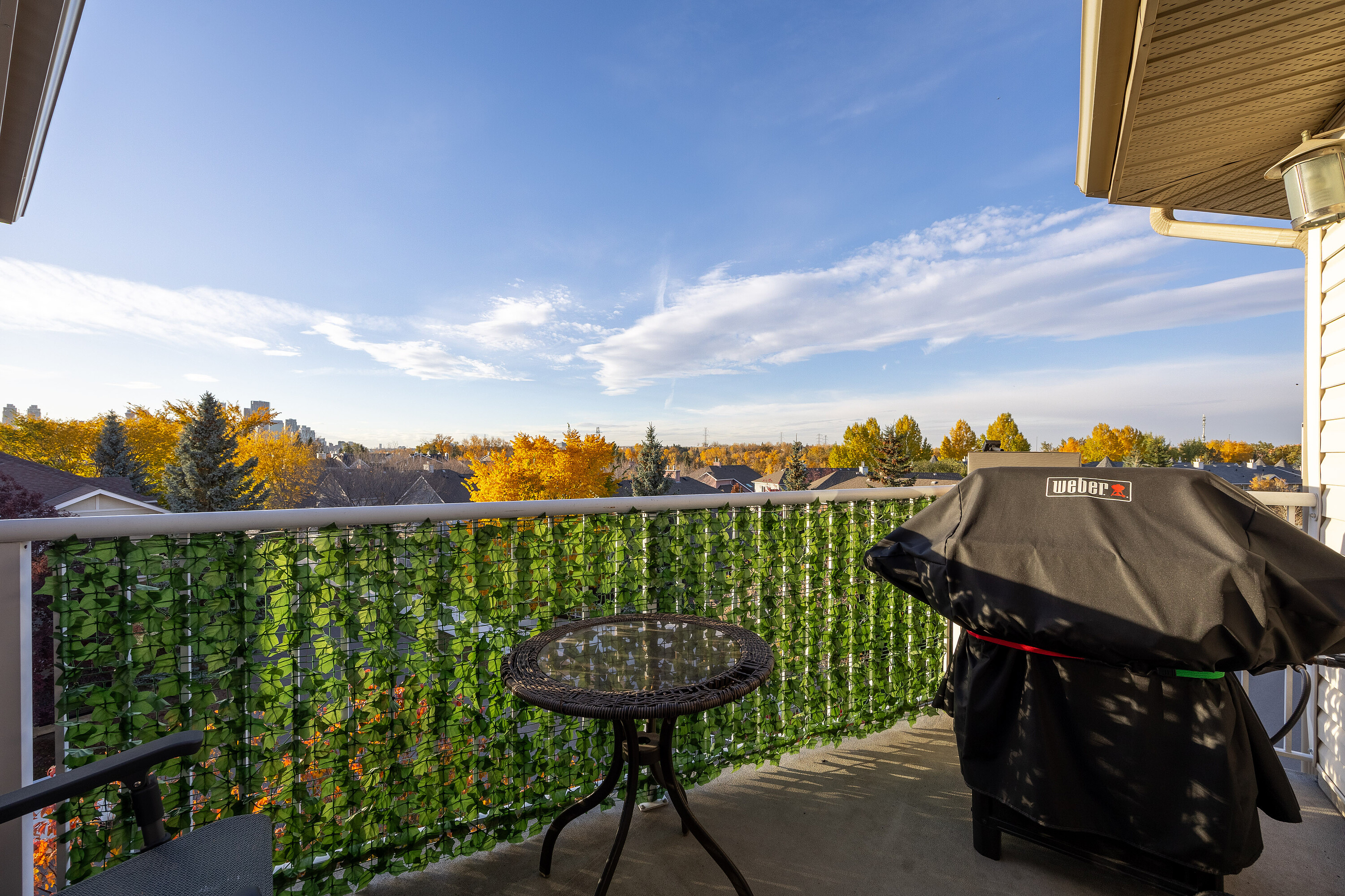  Calgary, Calgary and Foothills - 物件實景