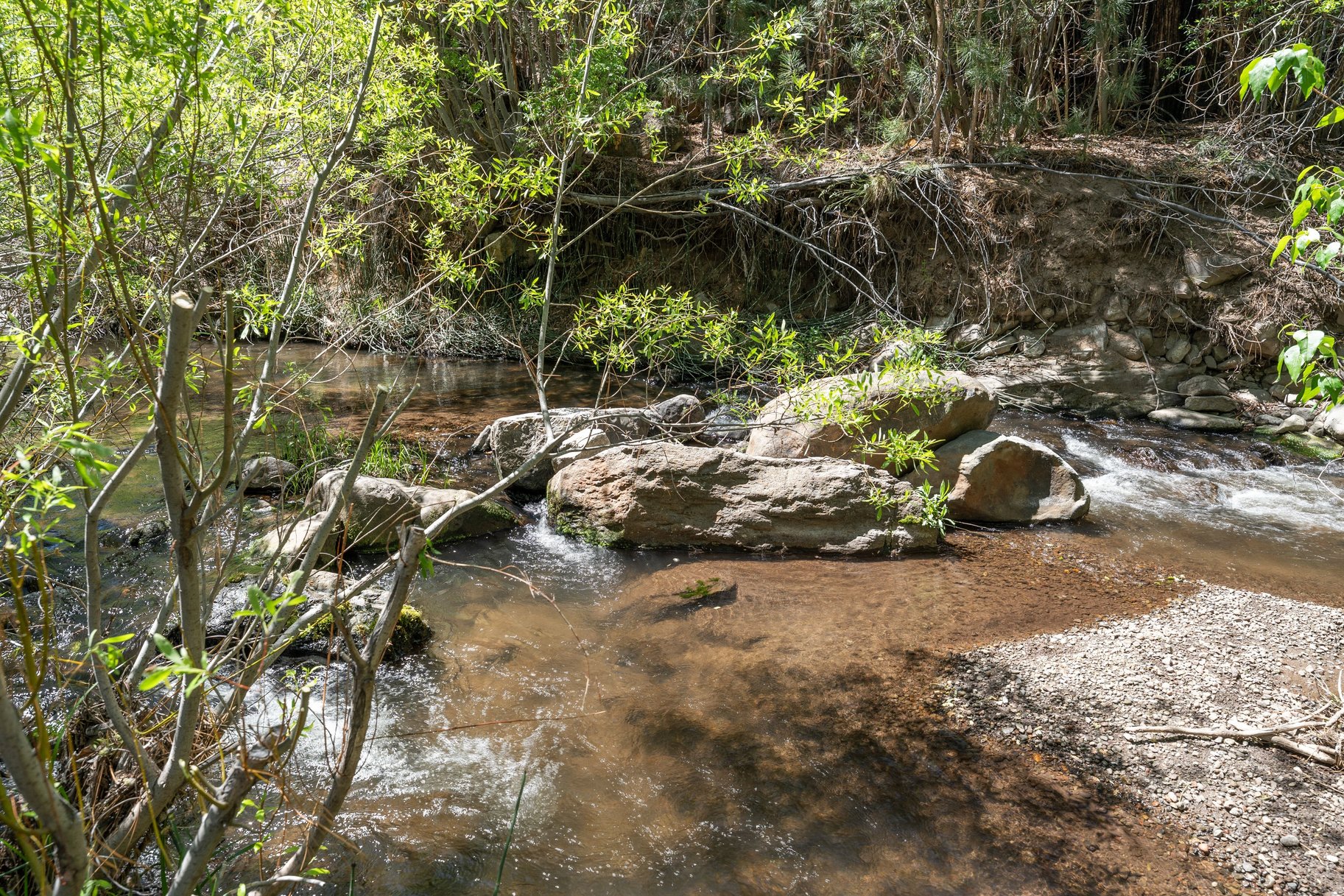  Sweet home on 1.24 acres in Sierra Brooks - 物件實景