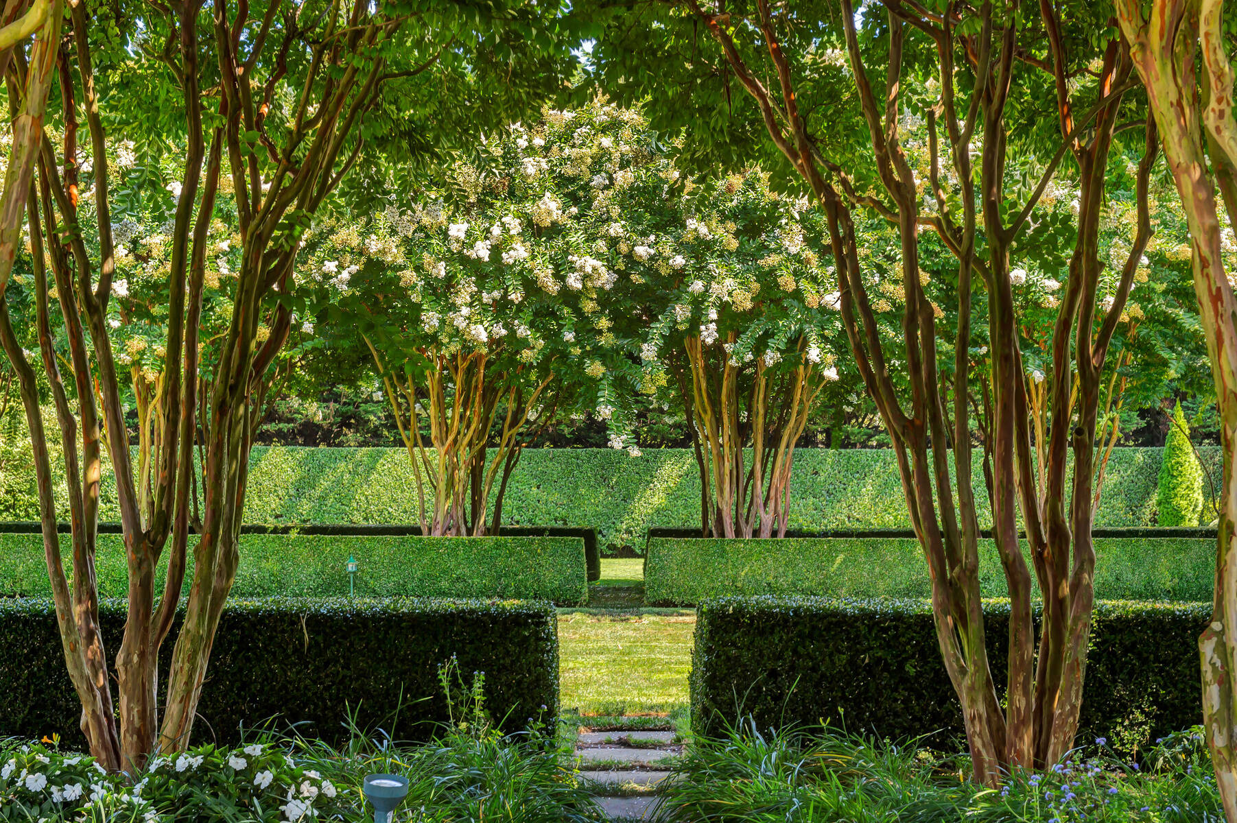  2-Acre SHV Compound, Fully Furnished, w/ Guest & Pool House - 物件實景