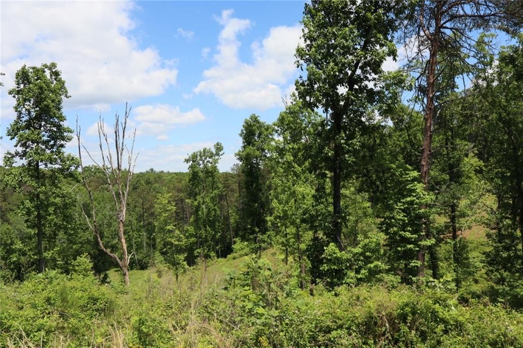 Ellijay, Georgia, 30540, United States, ,Residential,For Sale,1881390