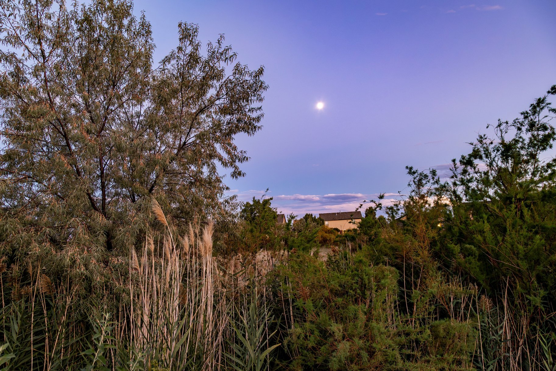  Beautifully Updated + Serene Natural Setting - 物件實景