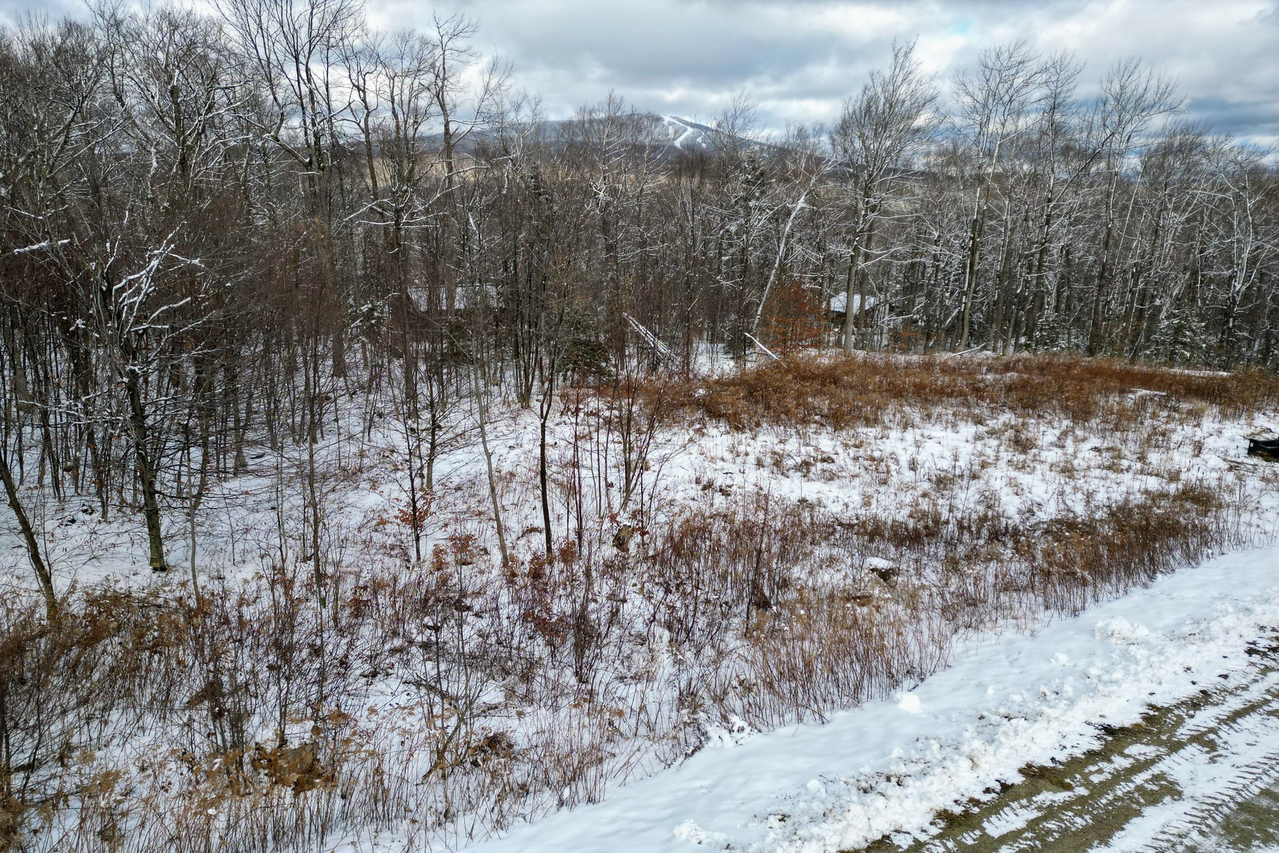  41 Moose Hollow Road - 物件實景