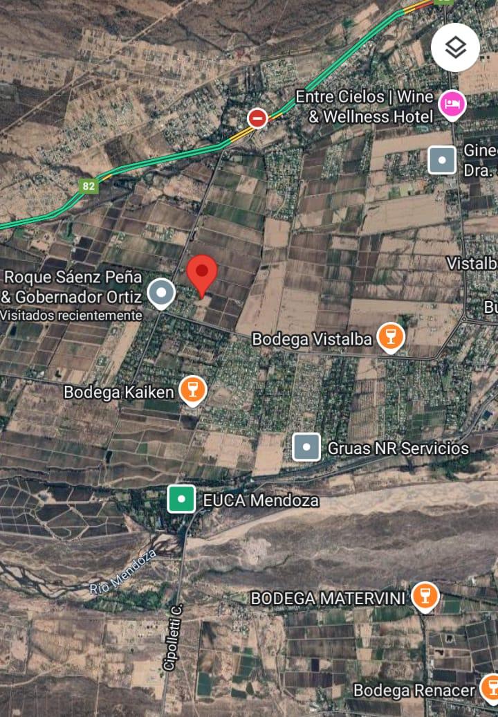Lujan De Cuyo, AR-M, AR, ,Land,For Sale,1819994