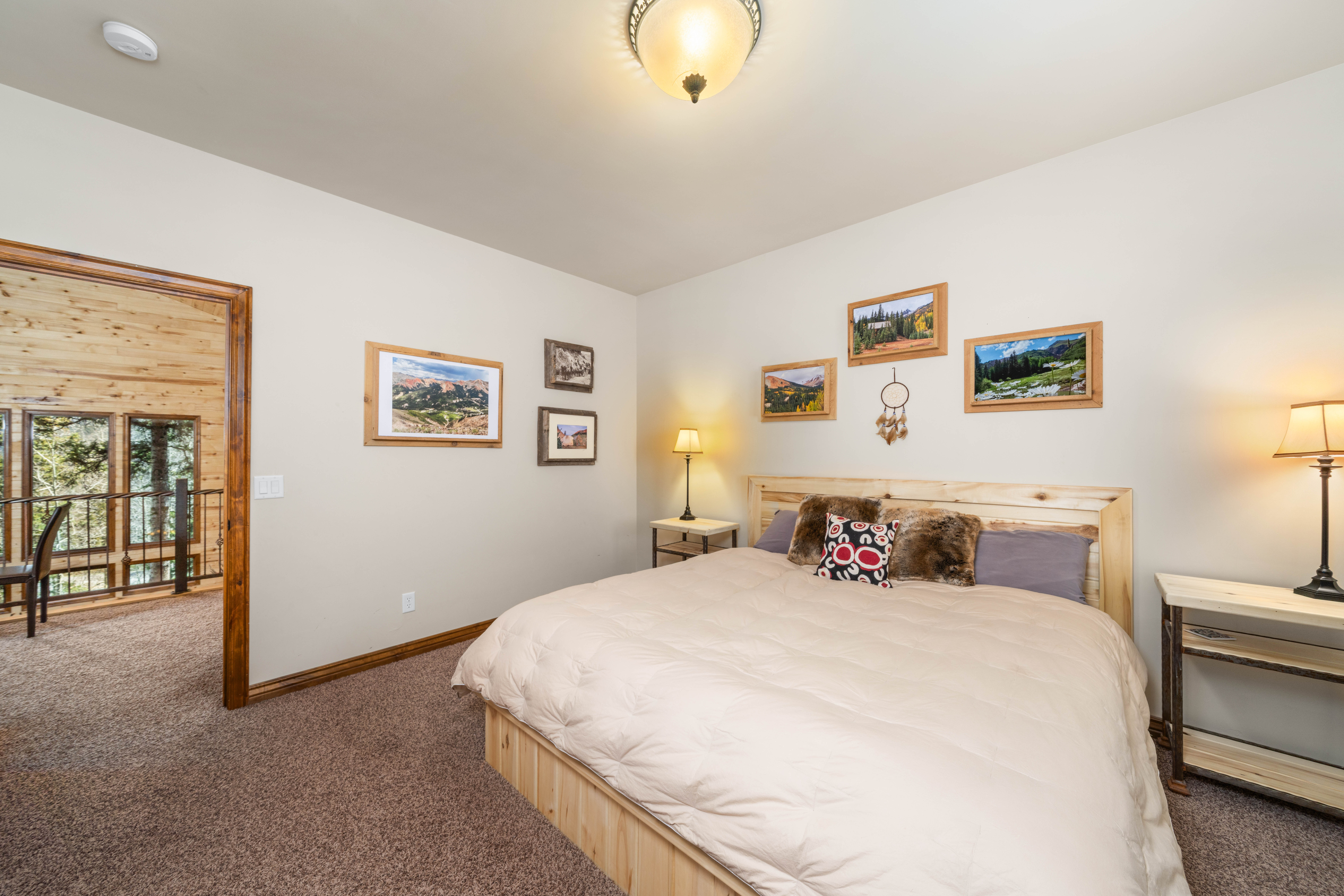  Alpine Estate with Acreage between Ouray and Silverton - 物件實景