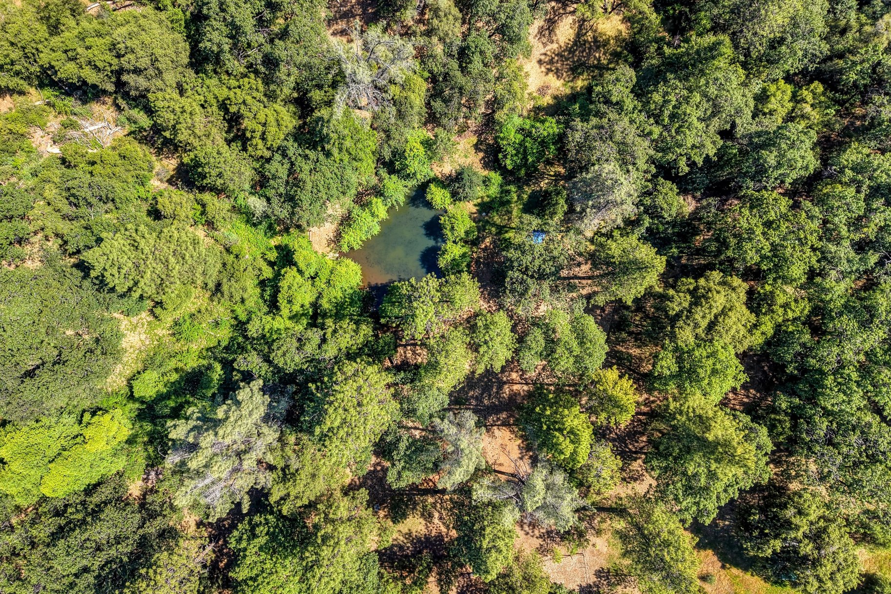  Immaculately Maintained Country Retreat on Acreage with pond - 物件實景