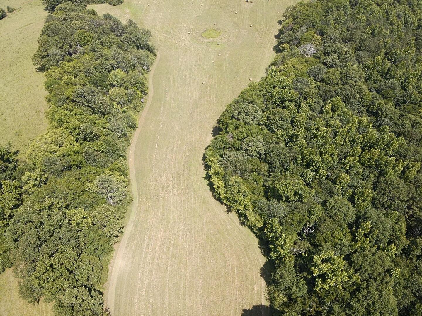 Bryant, Alabama, 35958, United States, ,Land,For Sale,1982684