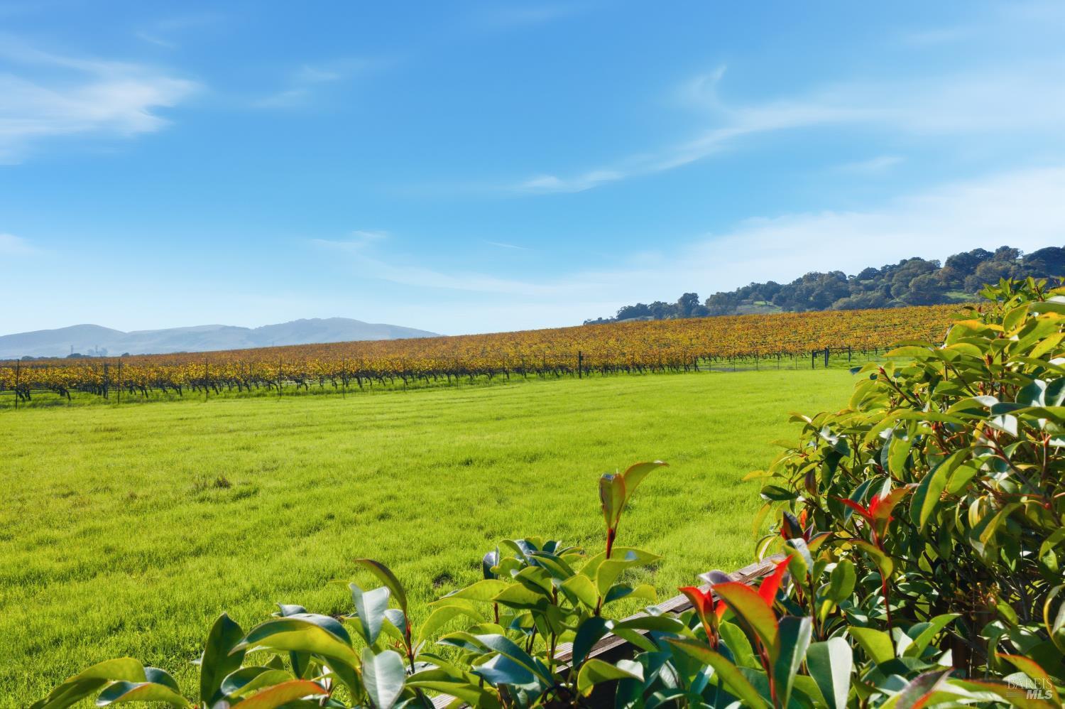 Sonoma, California, 95476, United States, 2 Bedrooms Bedrooms, ,2 BathroomsBathrooms,Residential,For Sale,2001950