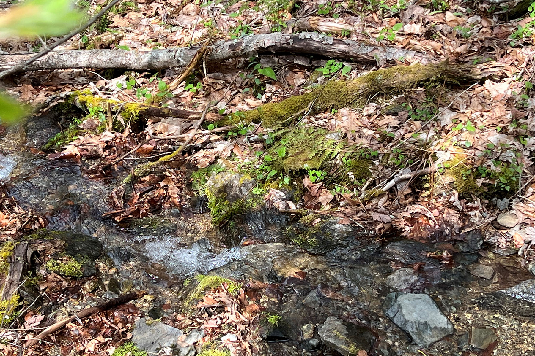  PARKWAY CROSSING - BLOWING ROCK - 物件實景