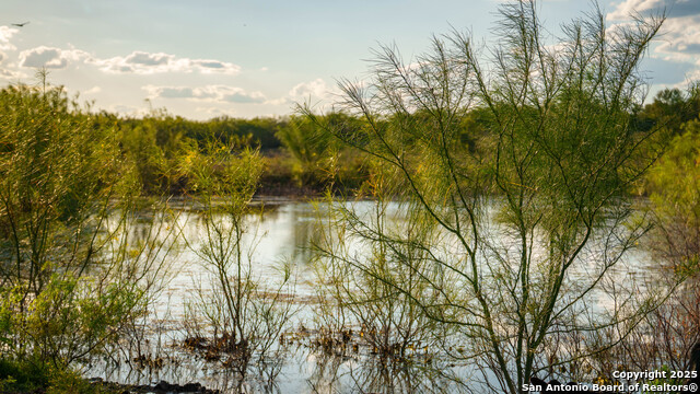 Kingsbury, Texas, 78638, United States, ,Residential,For Sale,1988121