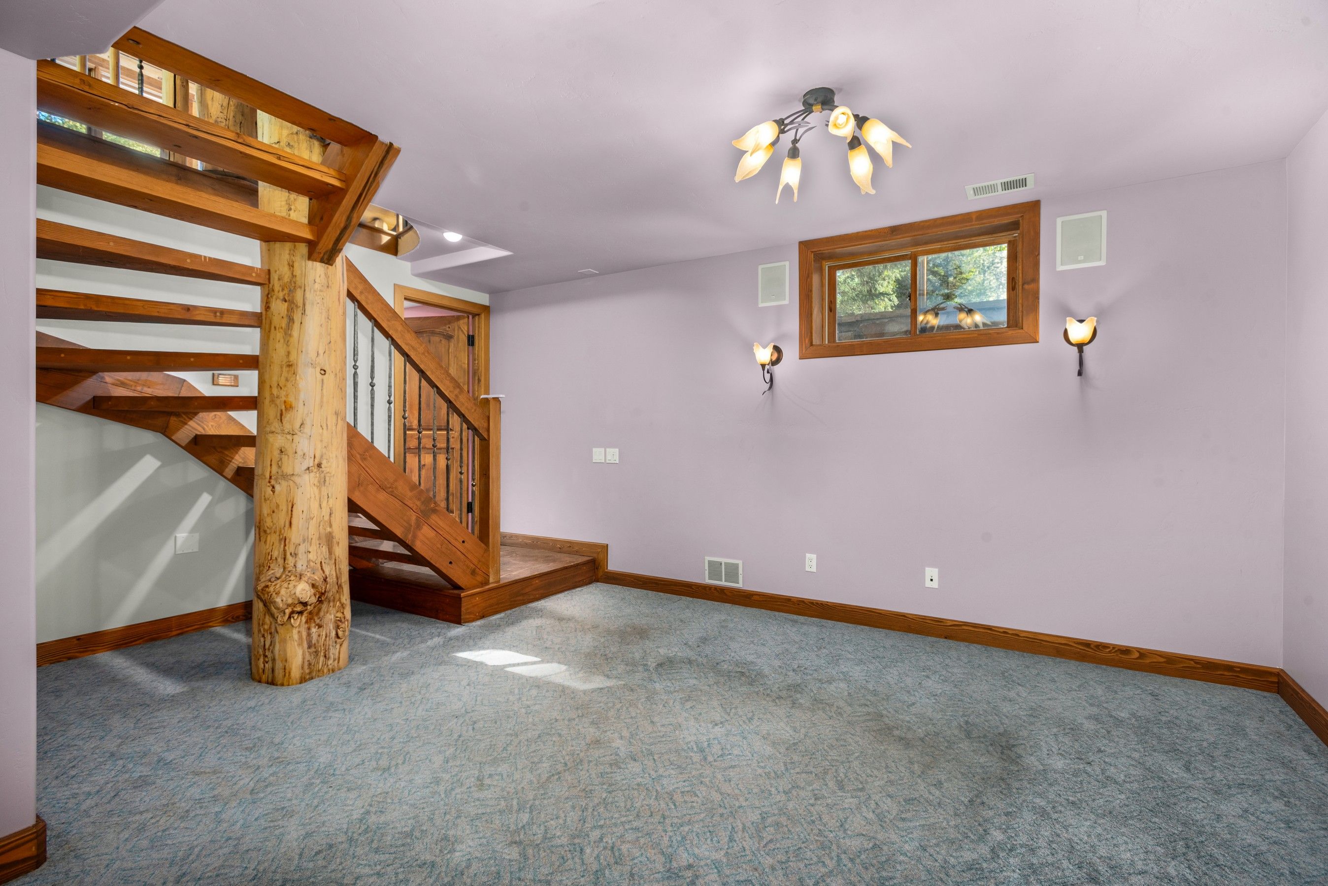  233 Bobcat Lane, Redstone, CO, 81623 - 物件實景