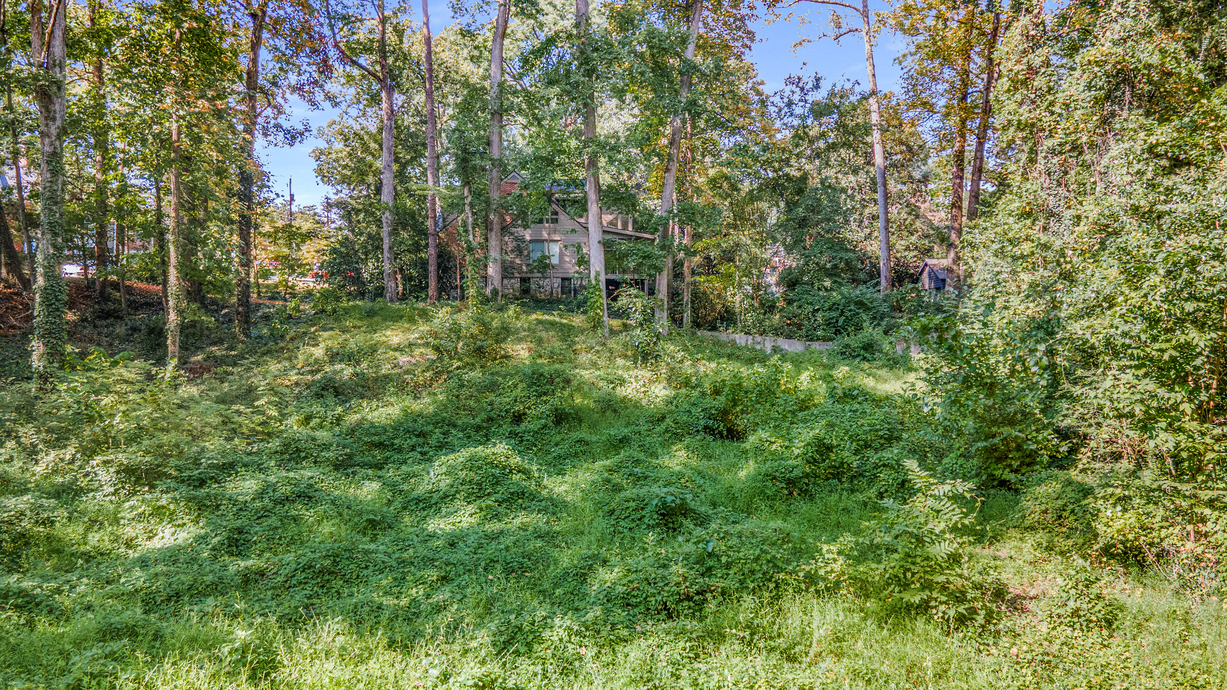  Three Contiguous Lots for New Construction in Historic Druid Hills - 物件實景