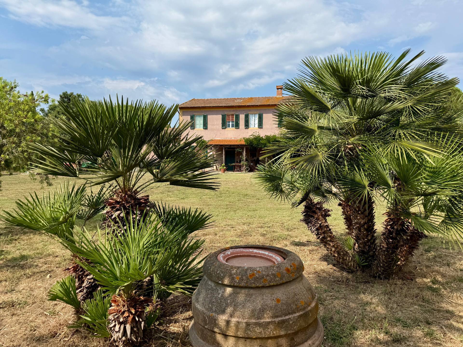 Magliano in Toscana, Grosseto, 58051, IT, 5 Bedrooms Bedrooms, ,3 BathroomsBathrooms,Residential,For Sale,1885318